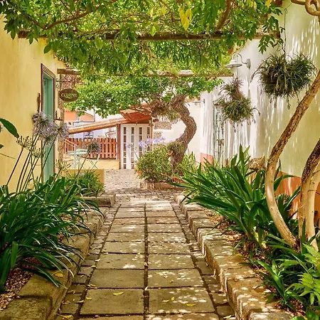 Kır Evi Arce Live Canarias